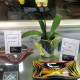Fire Glass Studio Glass Artist Gallery 1