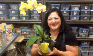 Fire Glass Studio Glass Artist Nili Shows Off Fused Glass Pot